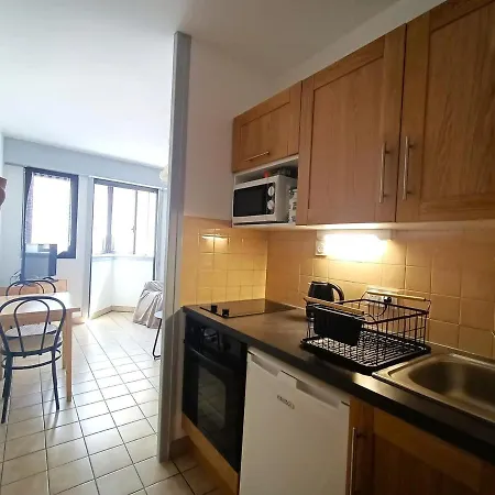 Centre-ville Avec Parking Et Animaux Acceptes - Fr-1-555-20 * Aix-les-Bains