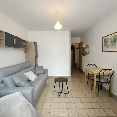 Centre-ville Avec Parking Et Animaux Acceptes - Fr-1-555-20