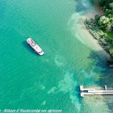 Centre-ville Avec Parking Et Animaux Acceptes - Fr-1-555-20 *