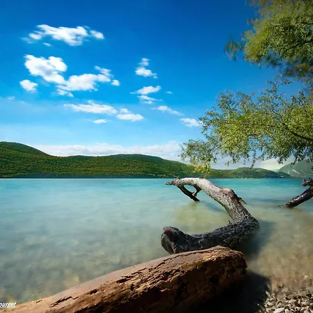 Centre-ville Avec Parking Et Animaux Acceptes - Fr-1-555-20 アパート