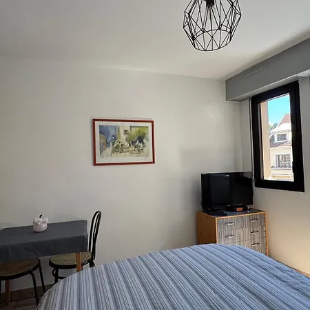 Centre-ville Avec Parking Et Animaux Acceptes - Fr-1-555-20 * Aix-les-Bains