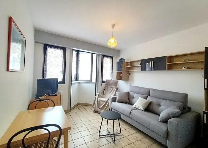 Centre-ville Avec Parking Et Animaux Acceptes - Fr-1-555-20 アパート