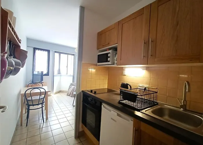 Centre-ville Avec Parking Et Animaux Acceptes - Fr-1-555-20 * エクスレバン