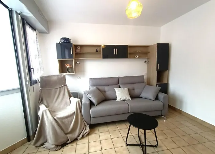 アパート Centre-ville Avec Parking Et Animaux Acceptes - Fr-1-555-20 *