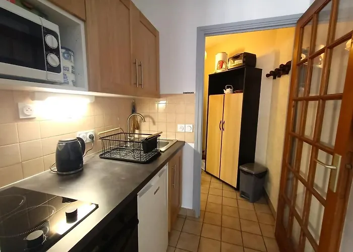 Centre-ville Avec Parking Et Animaux Acceptes - Fr-1-555-20 アパート