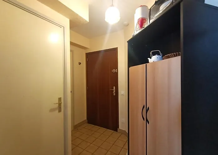 Centre-ville Avec Parking Et Animaux Acceptes - Fr-1-555-20