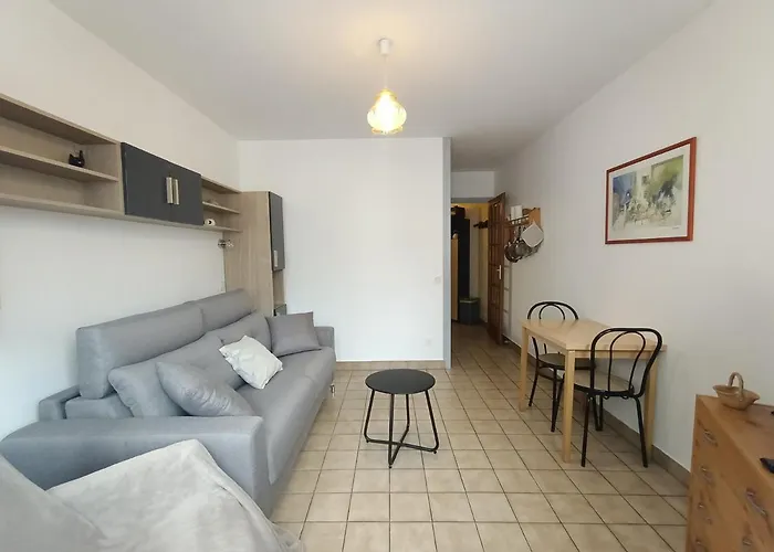 Centre-ville Avec Parking Et Animaux Acceptes - Fr-1-555-20