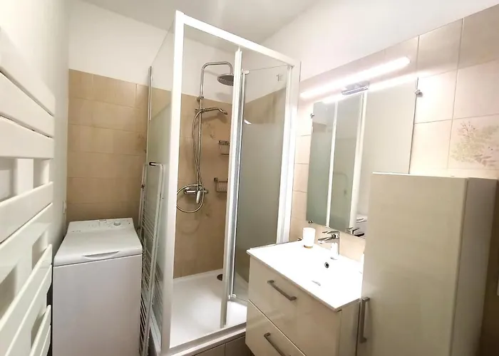 アパート Centre-ville Avec Parking Et Animaux Acceptes - Fr-1-555-20